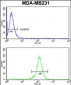 RBBP7 Antibody (N-term)