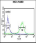 PISD Antibody (Center)