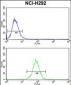 DNM3 Antibody (Center)