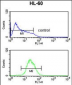 ATF7 Antibody (N-term)