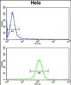 UHRF1 Antibody (Center)