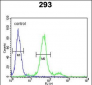 COL18A1 Antibody (N-term)