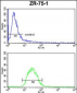 PTGER2 Antibody (Center)