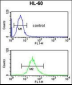 SELENBP1 Antibody (C-term)