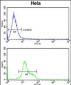 DTX4 Antibody (N-term)