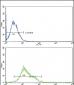 ALOX12 Antibody (C-term)