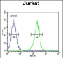 DTX1 Antibody (Center)