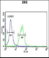 TRIB2 Antibody (N-term)