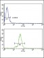 IL21 Antibody