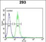 KCNQ1 Antibody (Center)