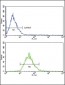 LDLR Antibody (Center)