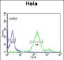 RAB8A Antibody