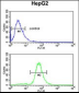 GSTA4 Antibody (N-term)