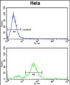 DAB2 Antibody (C-term)