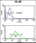 LY75 Antibody (Center)