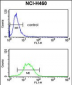 CLGN Antibody (Center)