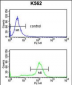 CDK5RAP1 Antibody (C-term)