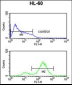 EIF4E Antibody