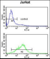 POLD1 Antibody (Center)