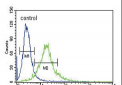 Ku70 Antibody (Center)