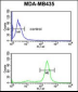 PRKAA1 Antibody