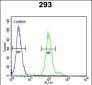 CFB Antibody (Center)