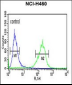 SPG20 Antibody (N-term)