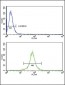 KIR2DL4 Antibody (C-term)