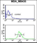 NRP1 Antibody (C-term)