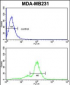 ACR Antibody (Center)