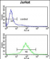 PPM1H Antibody (Center)