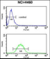 EFEMP1 Antibody (N-term)