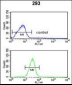 GCLM Antibody (C-term)