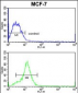 HMGA1 Antibody (C-term)