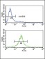 IL10 Antibody (Center)