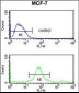 SUMO1 Antibody