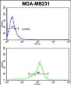 BCL2A1 Antibody (Center)