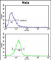 DPP8 Antibody (N-term)