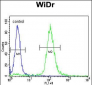 TrkA Antibody