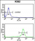 RPS6KB2 Antibody