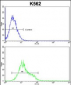 Denatured  ATG1 Antibody