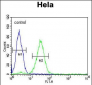 CREM Antibody (C-term)