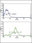 TIMP3 Antibody (Center)