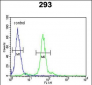 LOX Antibody (Center)