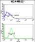 PEX14 Antibody (C-term)