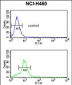 MUTYH Antibody (Center)