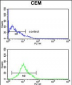 KCNJ11 Antibody (N-term)