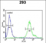 REG3A Antibody (N-term)