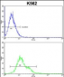 PLCB2 Antibody (N-term)