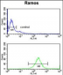 C7 Antibody (Center)